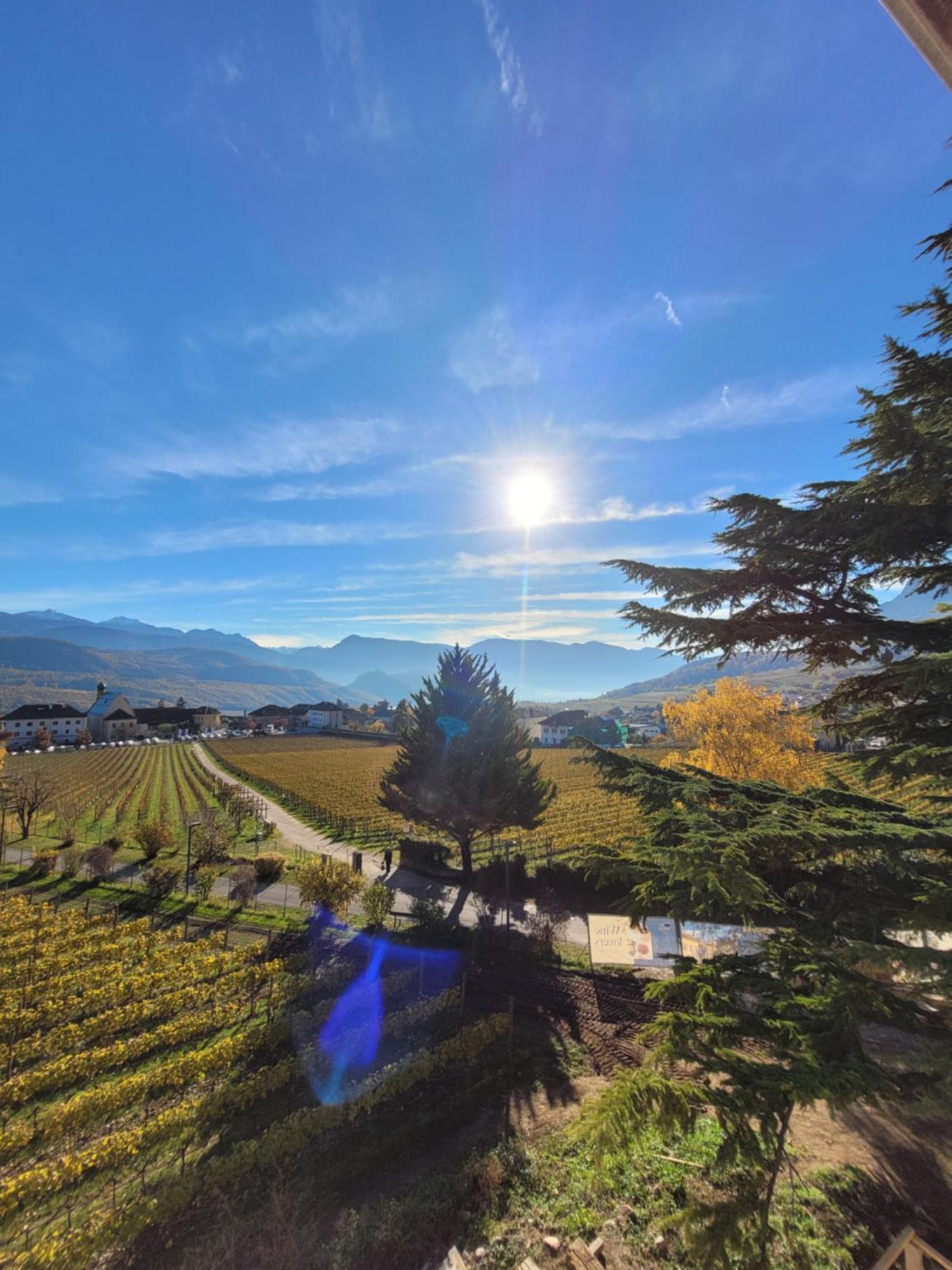 Castel Sallegg Suites Adults Only Caldaro Luaran gambar