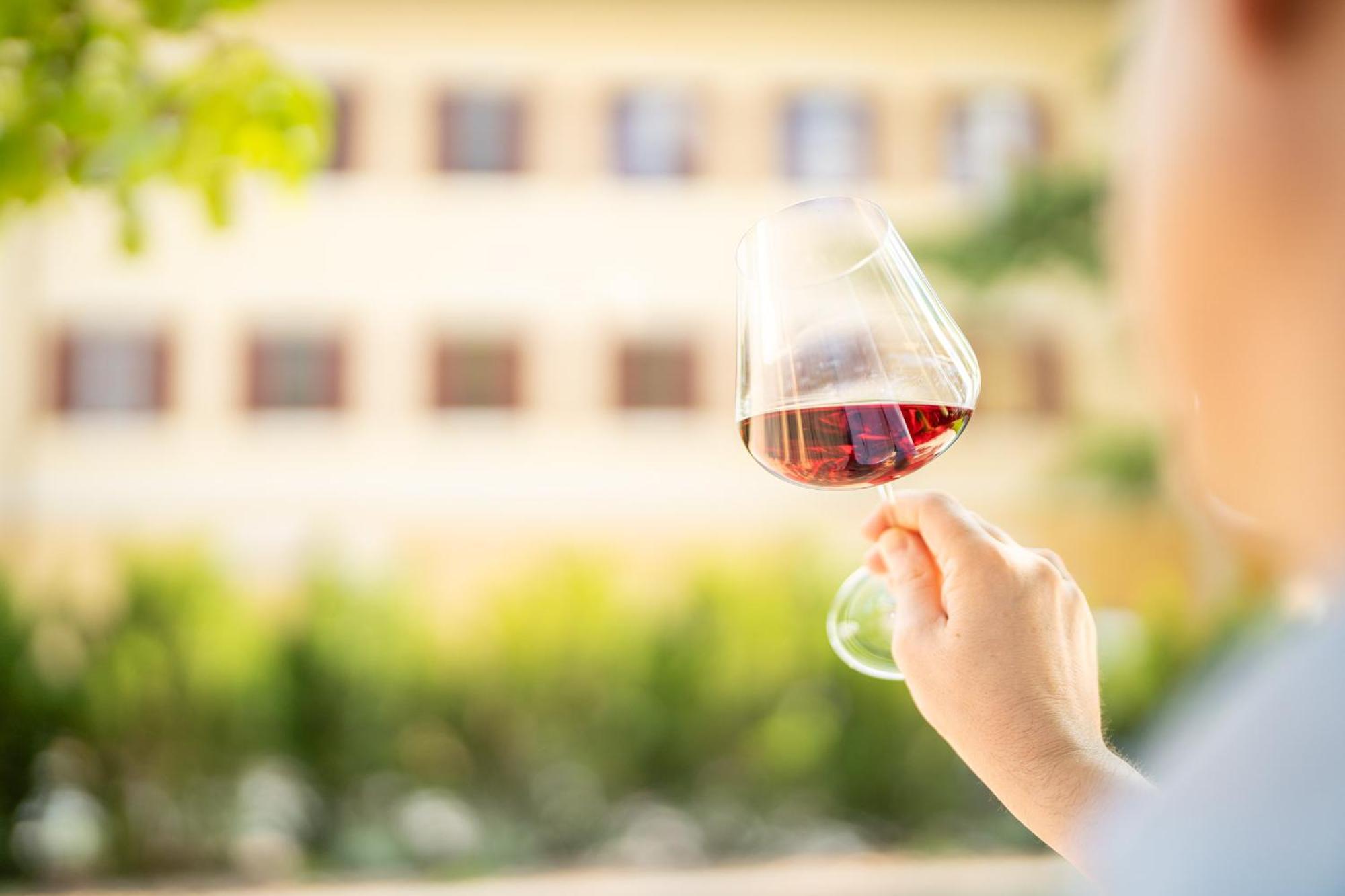 Castel Sallegg Suites Adults Only Caldaro Luaran gambar